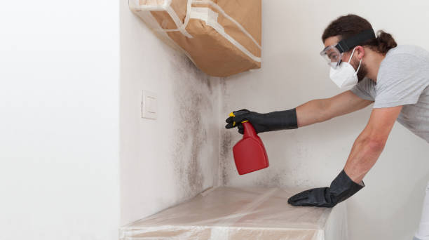 Professional Black Mold Remediation technician working in Hewlett, NY